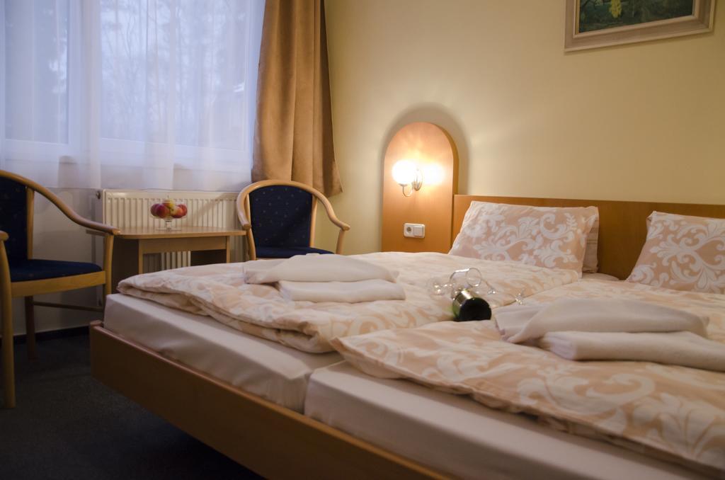 Hotel Zatisi Františkovy Lázně Pokój zdjęcie